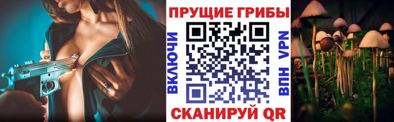 Псилоцибиновые грибы Psilocybine cubensis  Лукоянов 